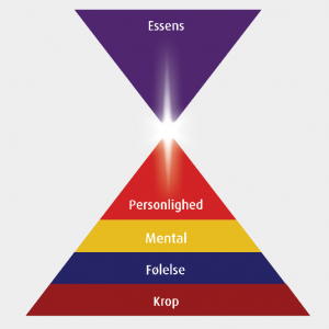 Figur 1. De fem psykologiske niveauer i mennesket